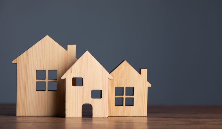 Traitement de la mérule dans une maison : que faire dès les premiers signes ?